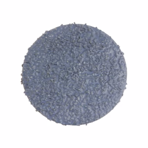 Round blue cookie with a rough sugar-crystal coating on a white background