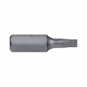 Double-ended screwdriver bit with a Torx tip on the right and a hex shank on the left.